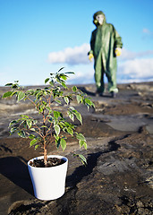 Image showing Man in protective suit near green plant