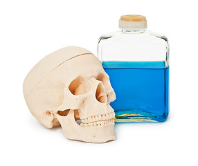 Image showing Still-life - bottle with blue poisonous liquid and human skull