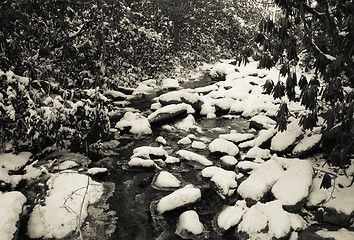 Image showing Snow Creek