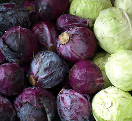 Image showing cabbage 