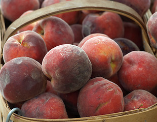 Image showing peaches