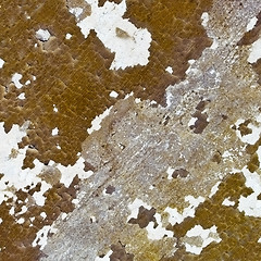 Image showing Weathered wall - background