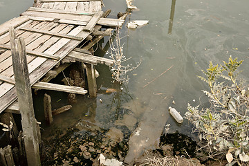 Image showing water pollution in river