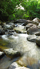 Image showing water spring in forest