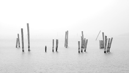 Image showing wood in water