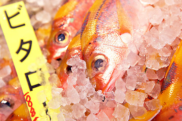 Image showing fish for sale