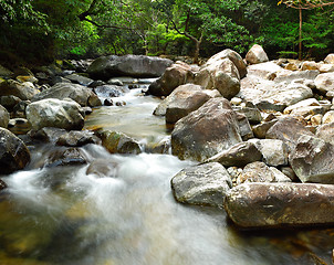 Image showing water spring in forest