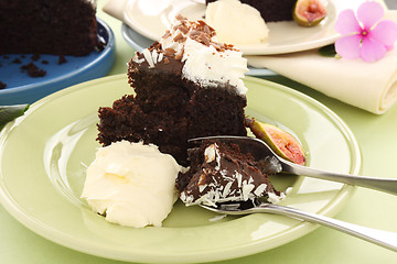 Image showing Mud Cake