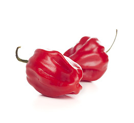Image showing red hot chili peppers