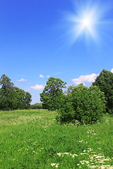 Image showing Beautiful field landscape