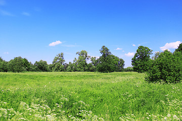 Image showing Beautiful field landscape