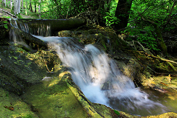 Image showing Cascade falls