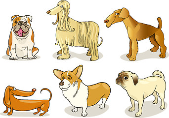 Image showing purebred dogs