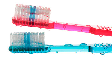Image showing Wet toothbrushes