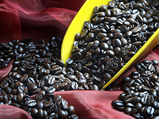 Image showing Coffee