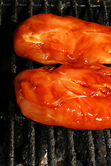 Image showing double chicken