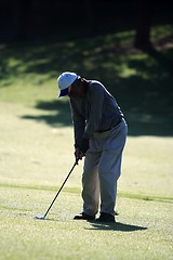 Image showing Golfer