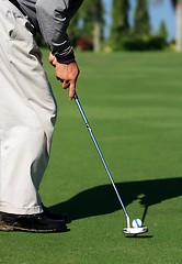 Image showing Golfer