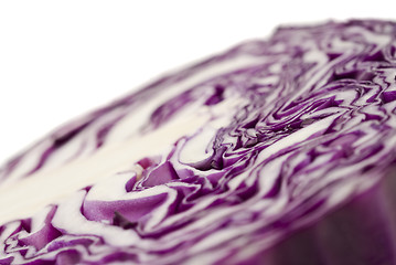 Image showing Extreme close-up of purple cabbage