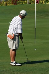 Image showing Golfer