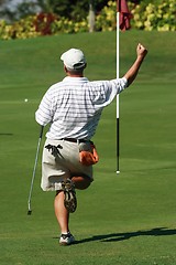 Image showing Golfer