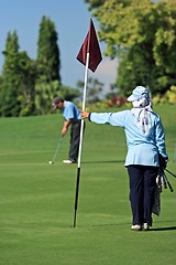 Image showing Golfer