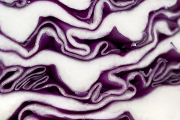 Image showing Cabbage background 
