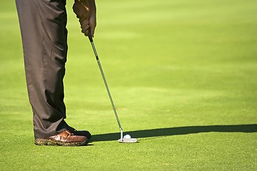 Image showing Golfer