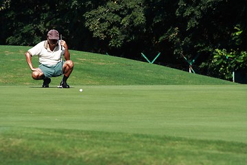 Image showing Golfer