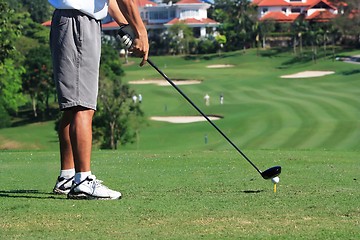 Image showing Golfer