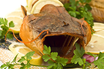 Image showing Shore dinner - closeup of fresh-water catfish 