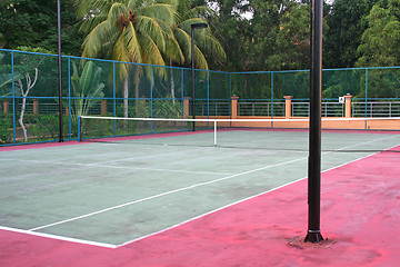 Image showing Tropical tennis