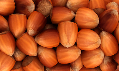 Image showing Filbert nuts texture or background