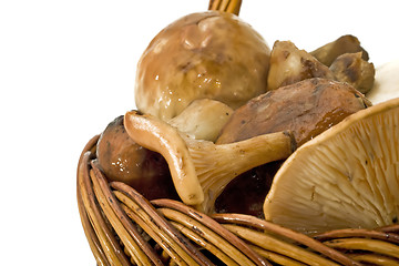 Image showing Mushrooms Heap in the basket