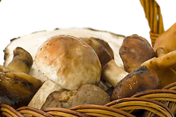 Image showing Closeup of mushrooms in the basket