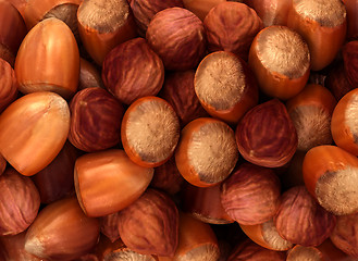 Image showing Hazel nuts and filbert texture