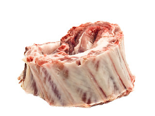 Image showing Pork ribs with raw meat isolated 