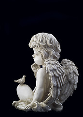 Image showing Side view of small angel 