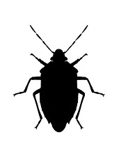 Image showing Silhouette of bug in back lighting