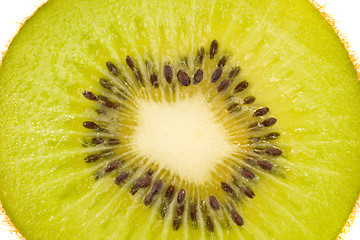 Image showing Isolated kiwi fruit 