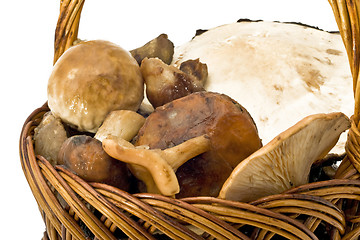 Image showing Mushrooms in the wicker woven basket