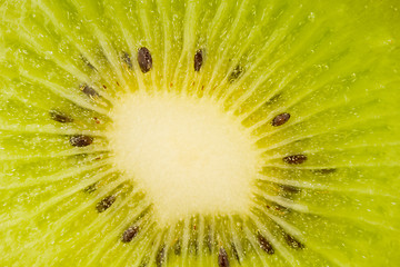 Image showing Green macro of kiwi