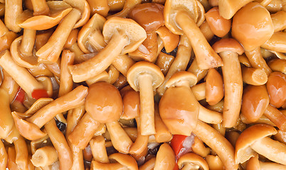 Image showing Food background - tasty champignons
