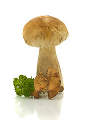 Image showing Mushrooms and green parsley