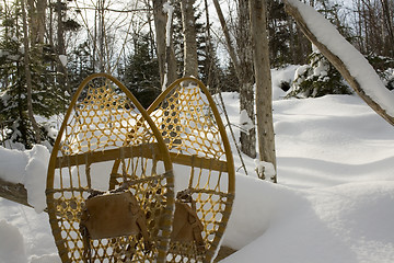 Image showing Snowshoes