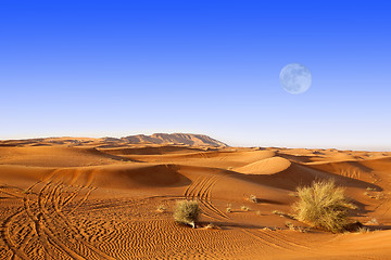 Image showing Dubai sand dunes