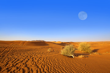 Image showing Dubai sand dunes