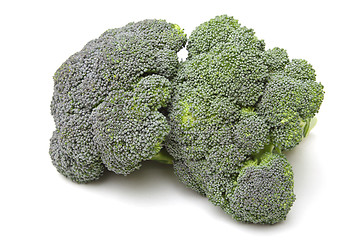 Image showing Broccoli