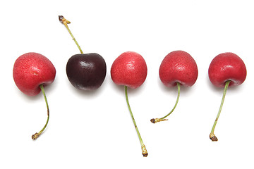 Image showing Cherries