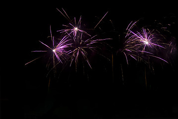 Image showing Bright fireworks at night in the black sky